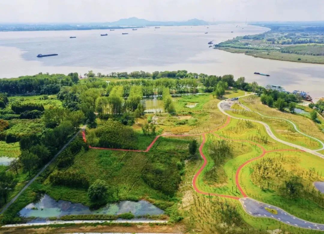 1681106601380848.jpg 4.jpg