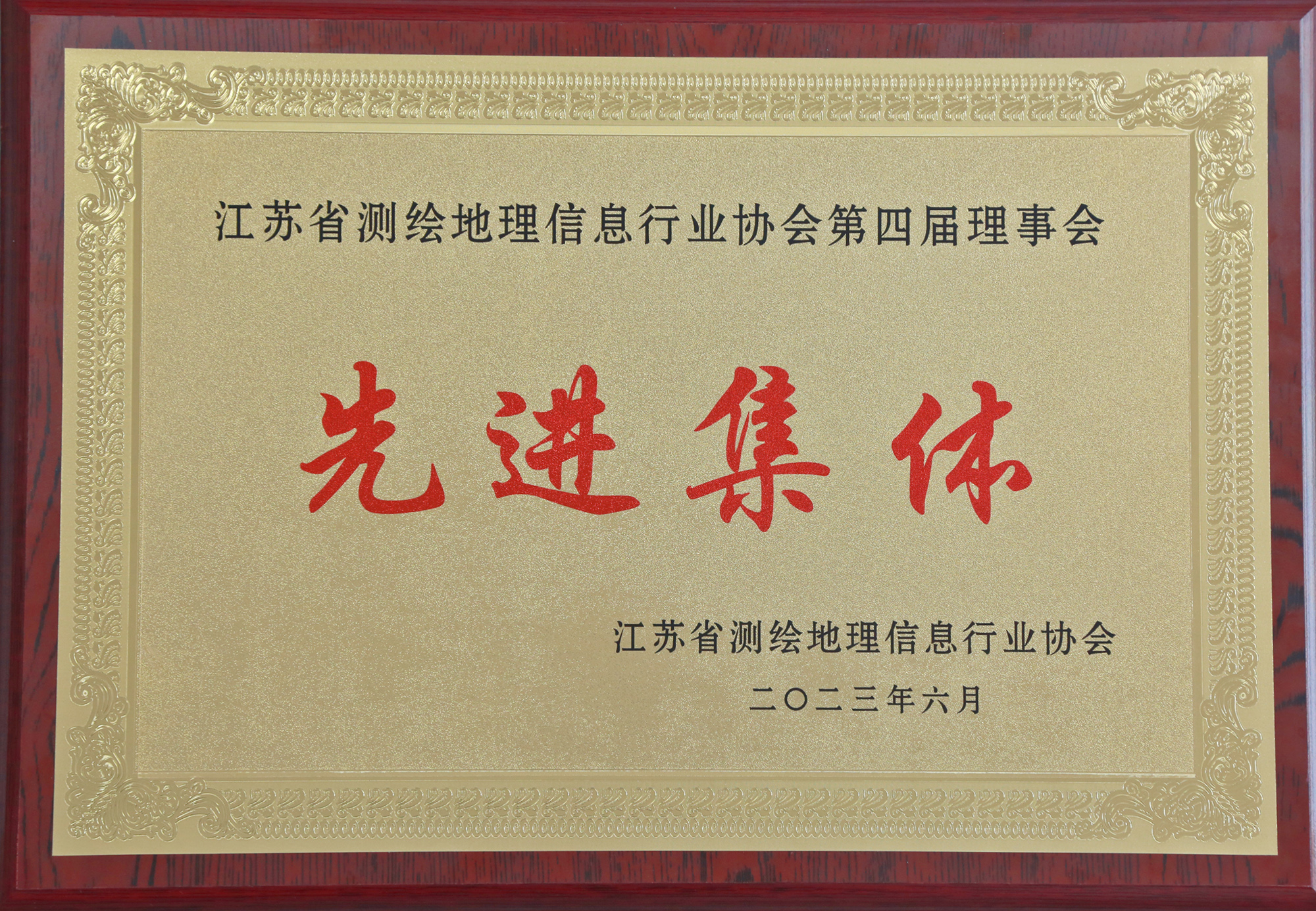 1689209979705915.png 江苏省测绘地理信息协会第四届理事会先进集体 - 压缩.png